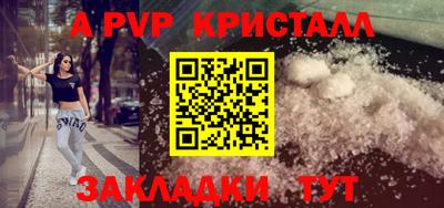 СК Сланцы