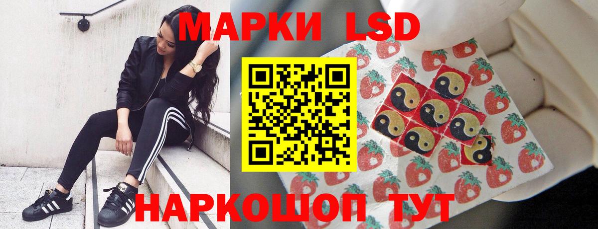 Новозыбков  ЛСД экстази кислота  ЛСД экстази ecstasy  Вход с VPN 