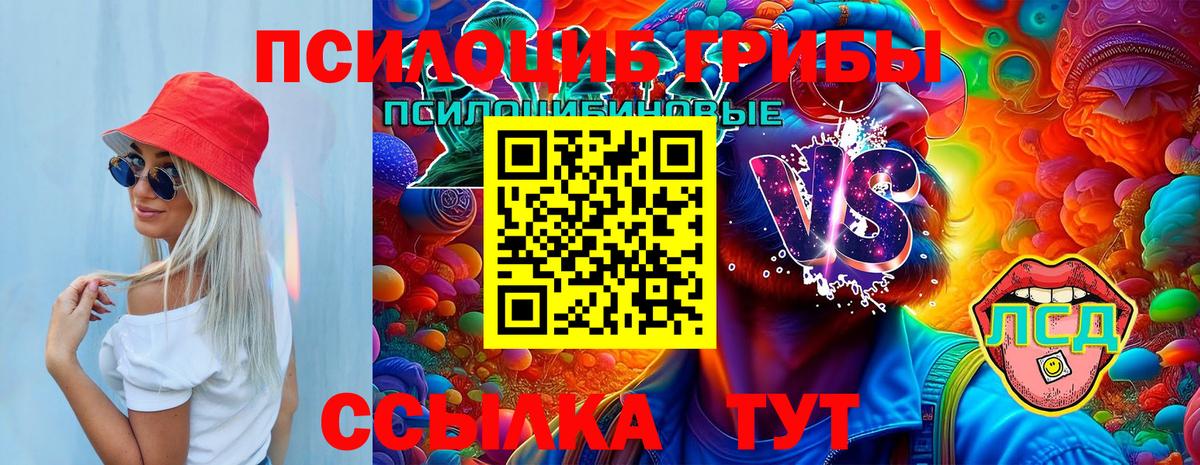 Псилоцибиновые грибы Magic Shrooms  Вход с VPN  Новозыбков 